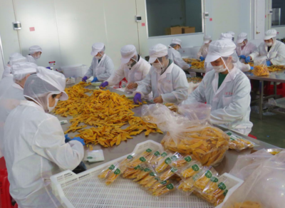 龙海市正丰食品的崛起之路 打造食品行业的名牌产品