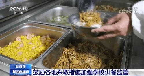 筑牢校园饮食安全网 教育部推动加强供餐监管，守护学生健康底线