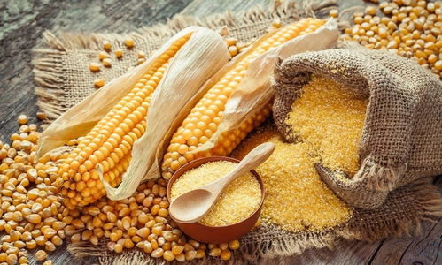 冬日便秘的隐秘推手 那些被忽视的日用品因素